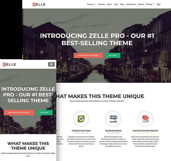 Zelle pro wordpress theme